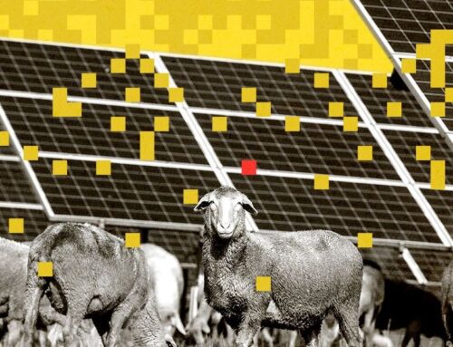 Trump Targets Solar on Farmland