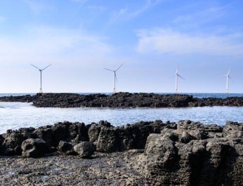 US officials reverse decision to shut down massive $5 billion wind farm project off New Yo