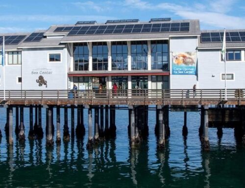 Sea Center Celebrates Final Payment for Solar Project