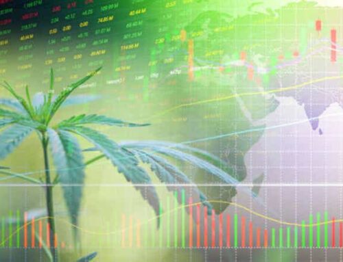 SA Asks: What are the best cannabis stocks right now? (CGC:NASDAQ)