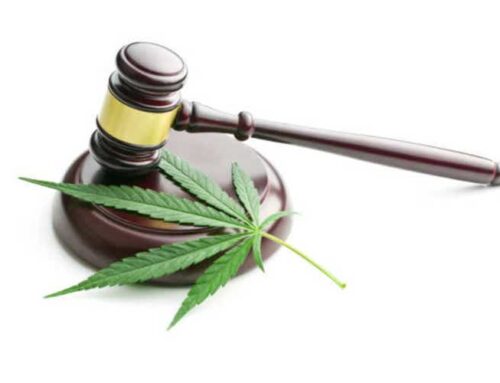 SA Asks: What’s next for the cannabis sector? (CGC:NASDAQ)