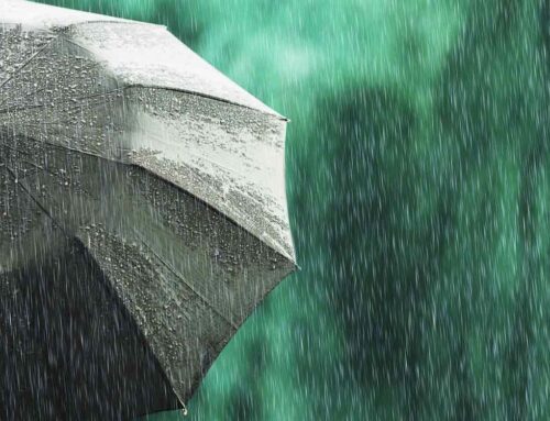 What’s Next for Stocks After a Chaotic Spring