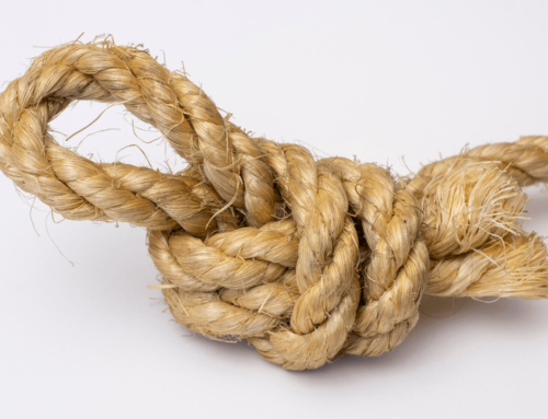 Spam Fight Heats Up: Bitcoin Knots Node Count Rises 49% in April – Crypto News Bitcoin New