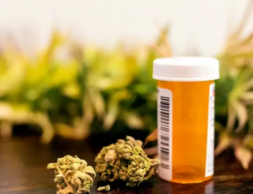 Cannabis in Community Cancer Care: Where Do Things Stand?