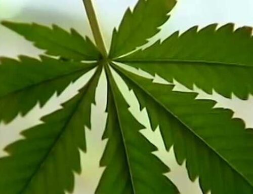 Pennsylvania House committee passes adult-use cannabis bill
