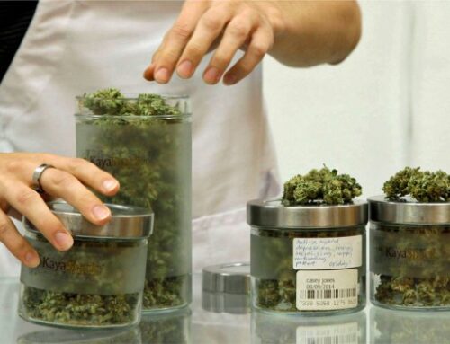 Judge rules Oregon Measure 119 is unconstitutional. Here’s why