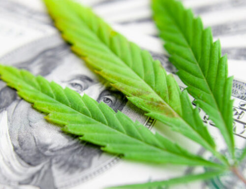 Smoke Shop Ordered to Pay $4.9 Million for ‘Persistent Illegal Cannabis Sales’