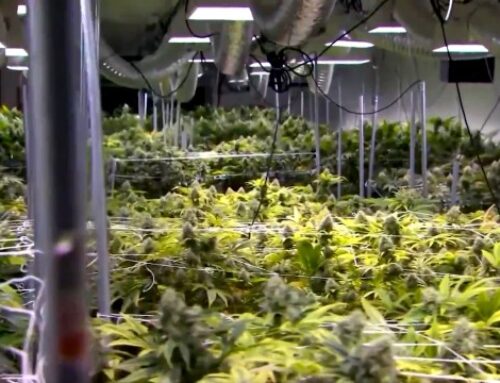 Families file lawsuit against Alabama Medical Cannabis Commission for not creating a patie