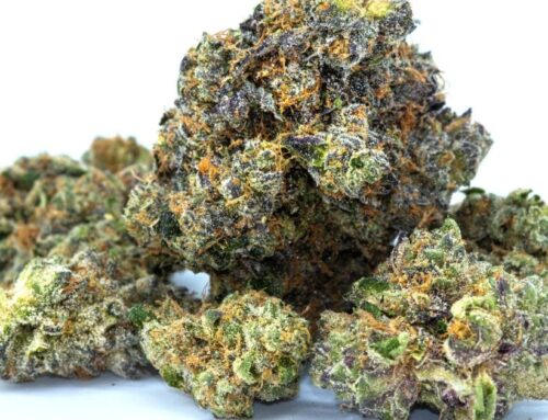 Survey: Cannabis Attitudes In Texas