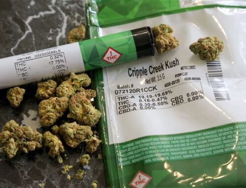Dan Laughlin: Pennsylvania needs a Cannabis Control Board