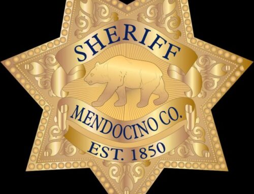 MCSO investigates fatal gun fight at large Covelo cannabis grow operation