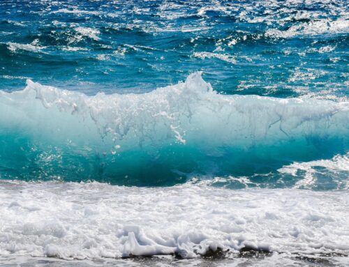 European Union ratifies High Seas Treaty, marking major step in international environmenta