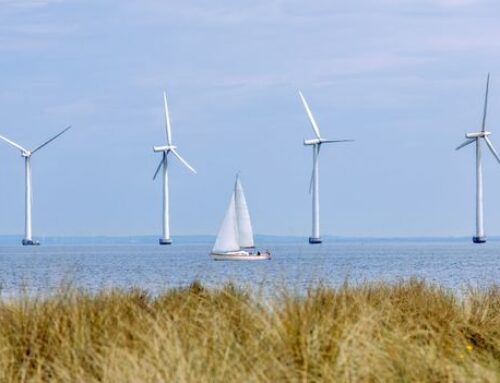 ‘Wind theft’: The mysterious effect plaguing wind farms
