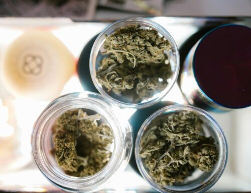 Growing Careers From The Ground up: A Brooklyn Model For New York’s Cannabis Workforce