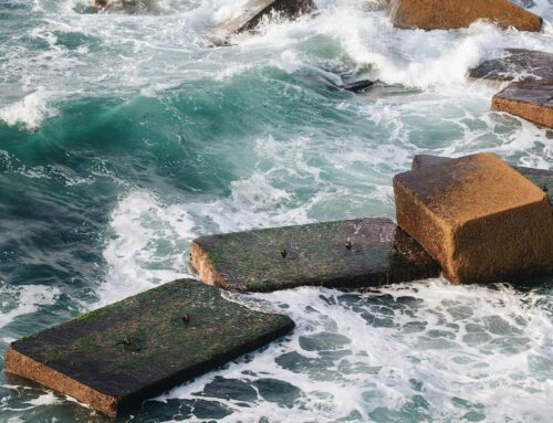 Santa Monica Democrats back bills to strengthen environmental and coastal protections