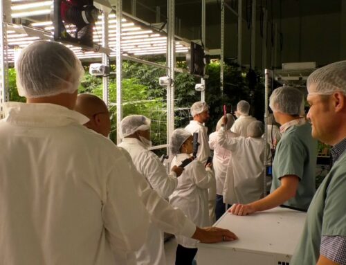 Physicians, state representatives tour Fine Fettle medical cannabis facility in Macon – 41