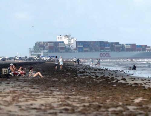 Don’t be mad about all the seaweed in Galveston right now. Here’s why.