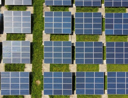 China’s transition to renewable energy not only faltering but may be impeding sustainable