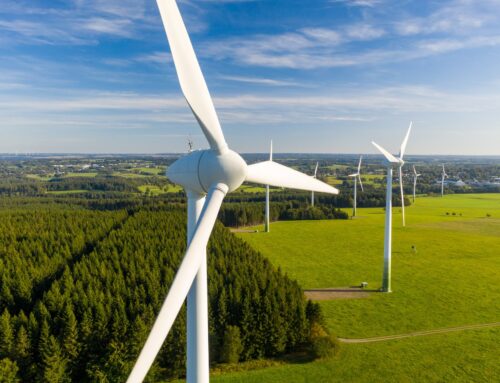 New report reveals surprising source powering millions of homes worldwide: ‘More than ever