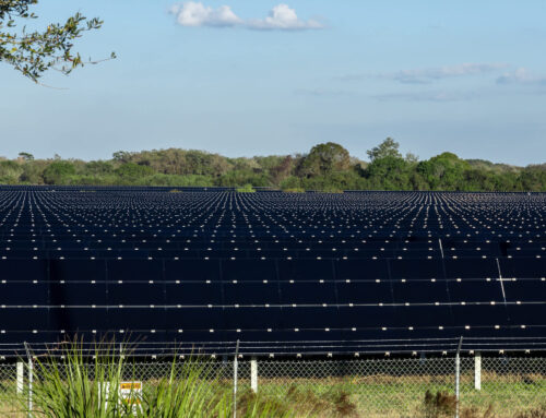 Experts sound off on impacts of new US policies on energy industry: ‘Overall, there was a
