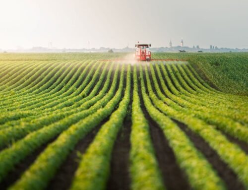 Investing in Farmand During Current Times – AG INFORMATION NETWORK OF