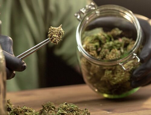 Report: U.S. Cannabis Sales Reached $30.1 Billion in 2024