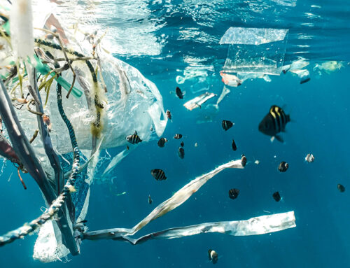 NIU researchers are identifying and quantifying microplastics in our environment