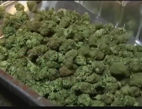 Man banned from running weed shops in Michigan after underage state police cadet sold pot