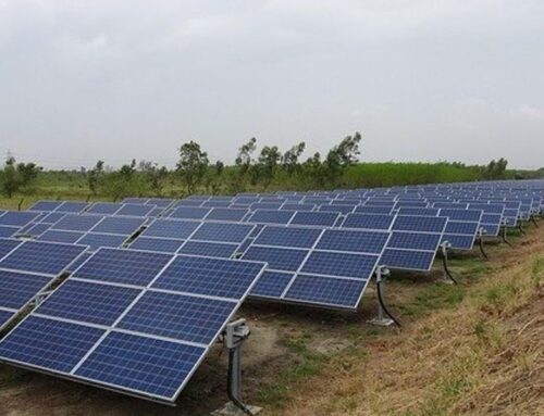 Solar panel recycling plant planned to boost Florida’s clean energy economy