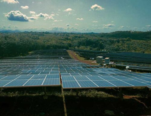 Building Clean Energy: An Ecofeminist Analysis of Ecological Policies in Developing Countr