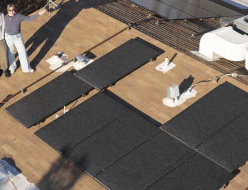 Couple shares candid review after going solar to slash their energy bills: ‘Financially, i