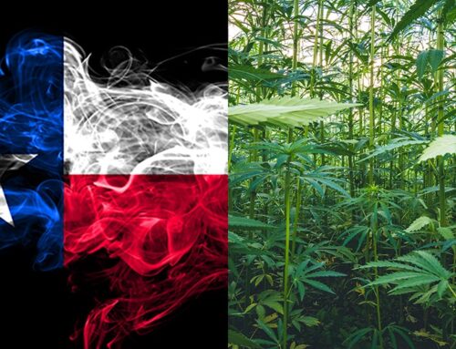 Game Over in Texas? House Approves Bill to Ban Intoxicating Hemp Products