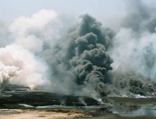 The Silent Casualty: How War Ravages Our Natural Environment