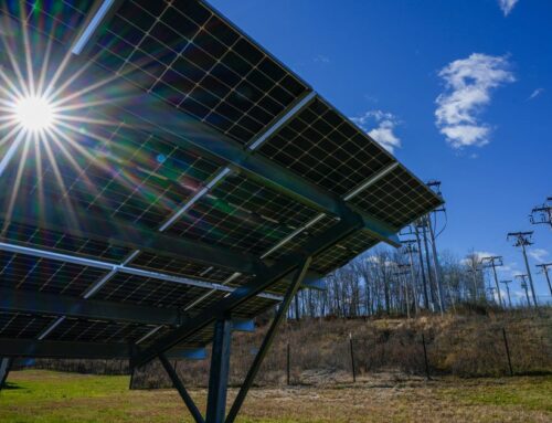 Trump budget seeks to slash $21 billion from renewable energy programs