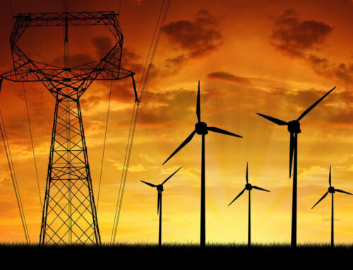 Trump’s wind energy freeze is so much hot air, say 17 states