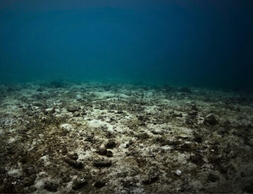 Europe Finds the Largest Renewable Energy Treasure Under the Ocean — up to 45,000 Tonnes Y