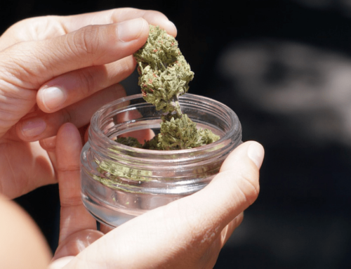 Minnesota’s first non-tribal cannabis dispensary opens in Moorhead