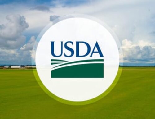 USDA investing $200m in timber production
