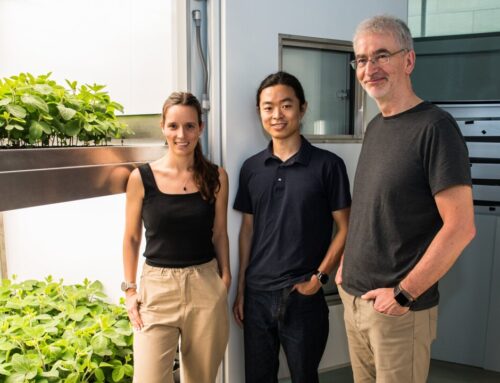 Vertical farming can increase yields and reduce environmental impact