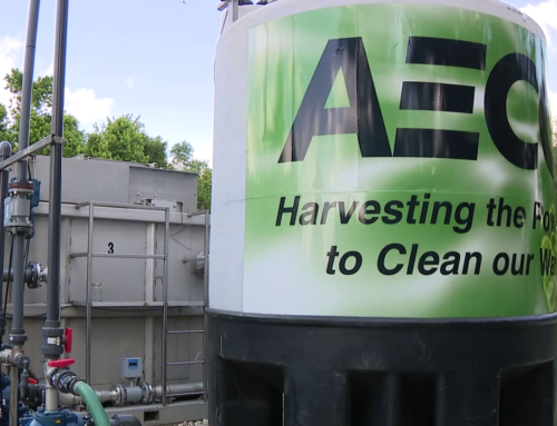 Turning harmful algae into renewable energy in Lakeland
