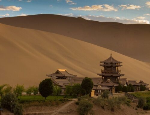Renewables: Can Solar Energy Stop Desertification?