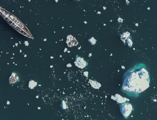 As Arctic ice vanishes, maritime traffic booms fuel climate crisis