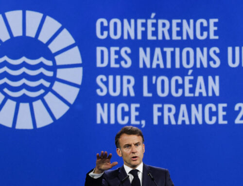 Global Ocean Summit opens in Nice with calls to boost marine protections