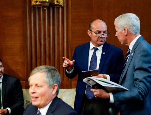 Solar bankruptcies mount as Congress slashes green energy funds