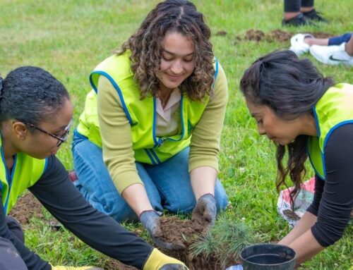 Troy church plants trees to foster environmental sustainability