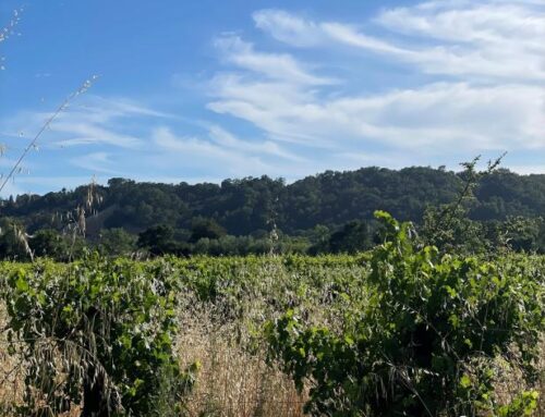 Permit Sonoma unveils plan to balance local environment and development needs