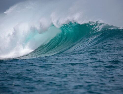 BTC Treasury News: Deep Sea Mining Firm Goes Deep on Bitcoin With $1.2B Treasury Plan