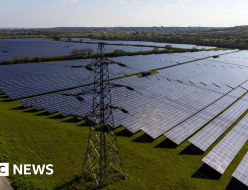 Plans for solar farm on Romney Marsh farmland