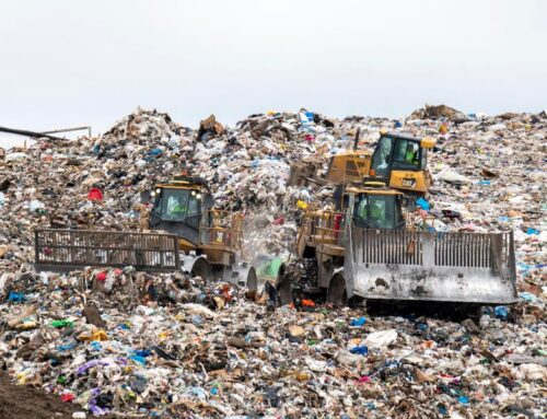 World Environment Day 2025: Real Solutions To Beat Plastic Pollution