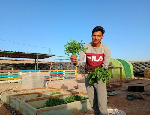 World Environment Day 2025: Meet These Under-25 Climate Entrepreneurs